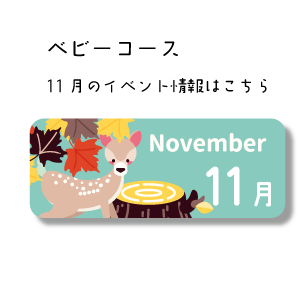 11月イベント情報